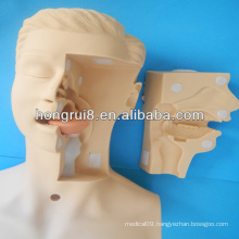 HOT SALES Advanced Medical training Model for sputum suctioning